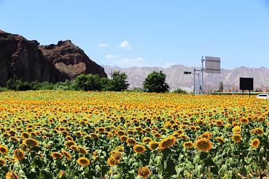 《巫师3》中文配音幕后故事：困难重重 需通俗易懂